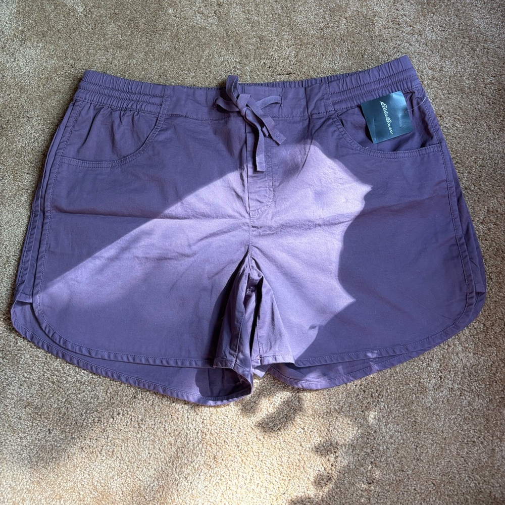 Eddie Bauer Aspire Shorts - Picture 3 of 4